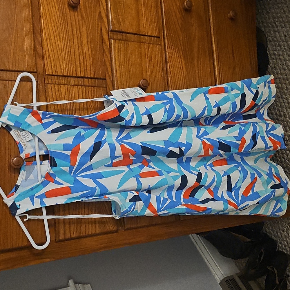 MAHI GOLD Vibrant Blue and Red Dress